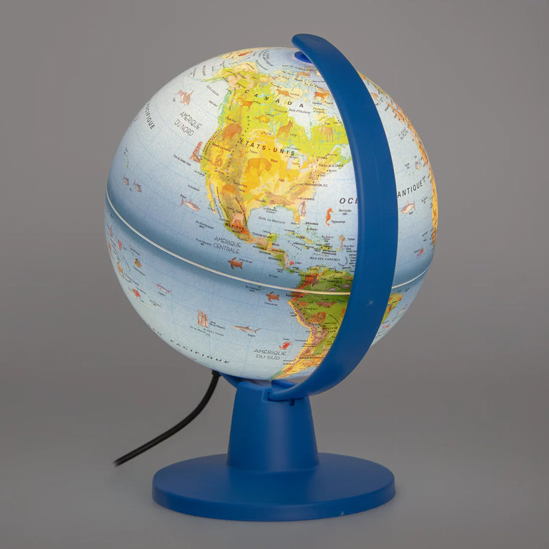 Tecnodidattica - LUCE - SAFARI FR - 16cm
