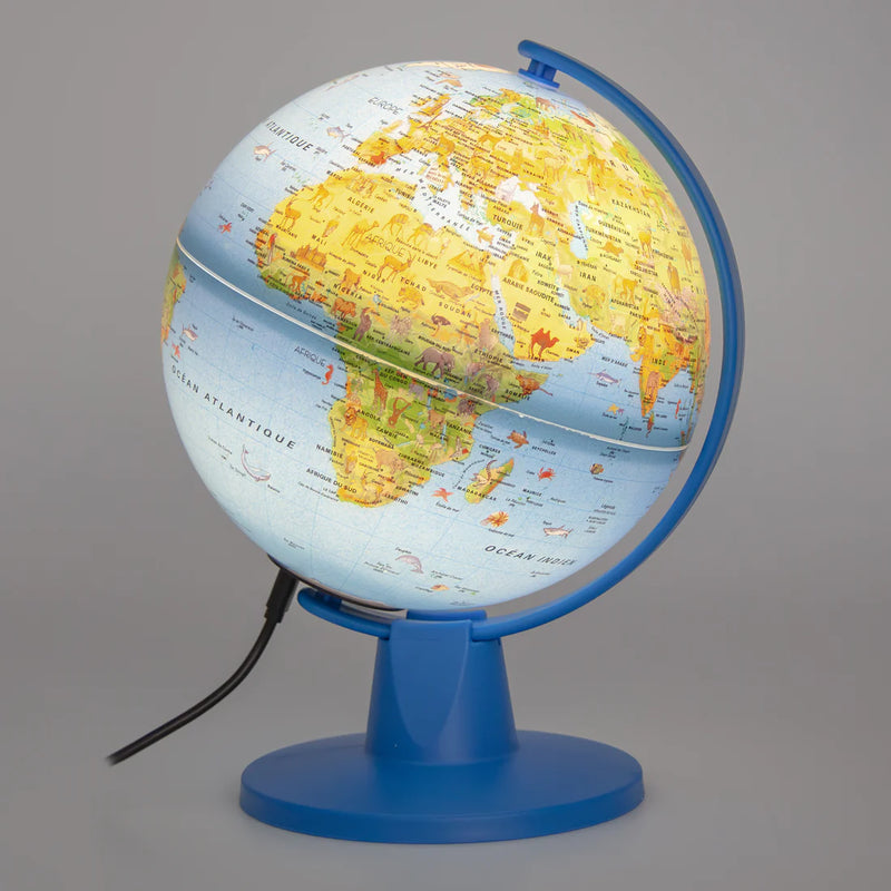 Tecnodidattica - LUCE - SAFARI FR - 16cm