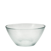 BOWRING - Glacier 29.5cm Clear Glass Deep Bowl