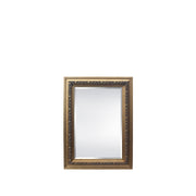 BOWRING - Sumner 35”W x 47”H Mirror Antique Gold
