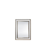 BOWRING - Addison 33”W x 45”H Mirror Champagne Gold