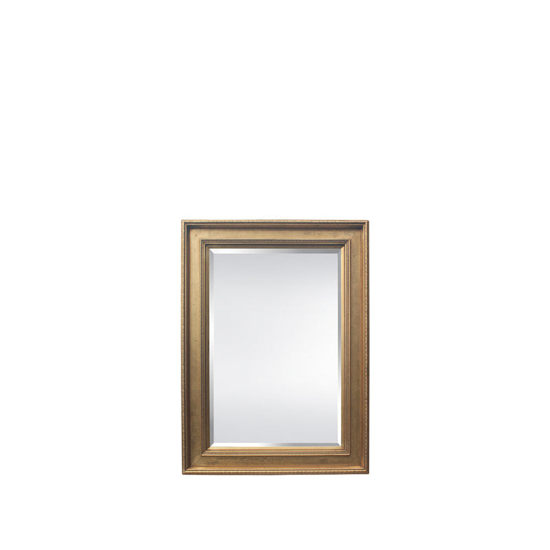 BOWRING - Rochelle 34-1/4”W x 46-1/4”H Mirror Antique Gold