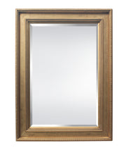 BOWRING - Rochelle 34-1/4”W x 46-1/4”H Mirror Antique Gold