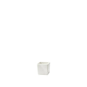 BOWRING - Vivy All Purpose Bowl 225 mL (7.5oz)