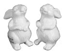 BOWRING - Bunny Salt & Pepper