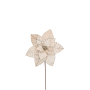 BOWRING - Poinsettia 31x50cm Champagne Velvet with Glitter