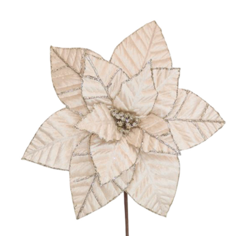 BOWRING - Poinsettia 31x50cm Champagne Velvet with Glitter