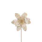 BOWRING - Poinsettia 31x55cm Champagne Sequins