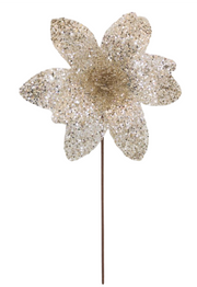BOWRING - Poinsettia 31x55cm Champagne Sequins
