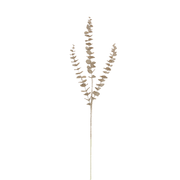 BOWRING - Eucalyptus 81cm Champagne Glitter Spray