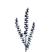 BOWRING - Eucalyptus 81cm Midnight Blue Glitter Spray
