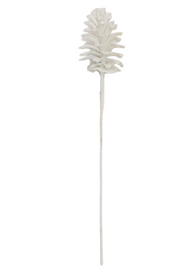 BOWRING - Pinecone 55cm White Iced Cluster