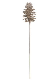 BOWRING - Pinecone 55cm Champagne Iced Cluster