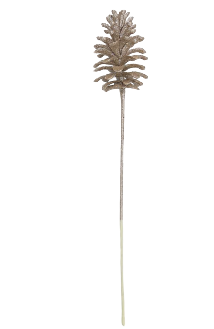 BOWRING - Pinecone 55cm Champagne Iced Cluster