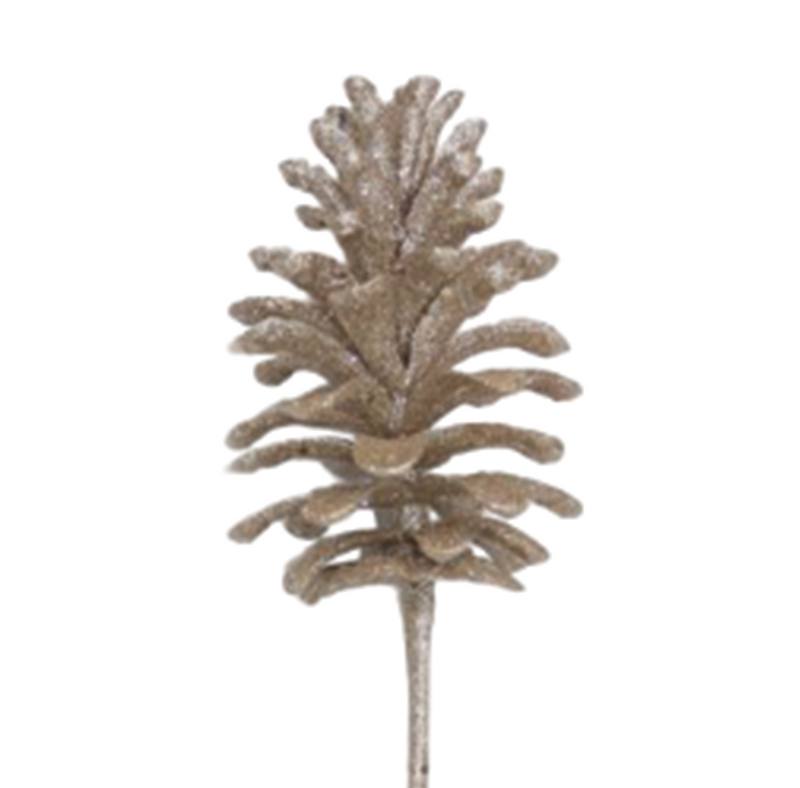 BOWRING - Pinecone 55cm Champagne Iced Cluster