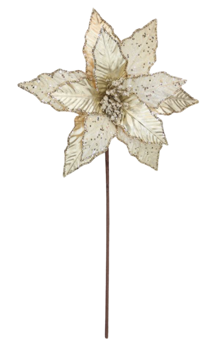 BOWRING - Poinsettia Stem Champagne Beaded