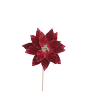 BOWRING - Poinsettia 35x50cm Burgundy Velvet with Glitter Edge Stem