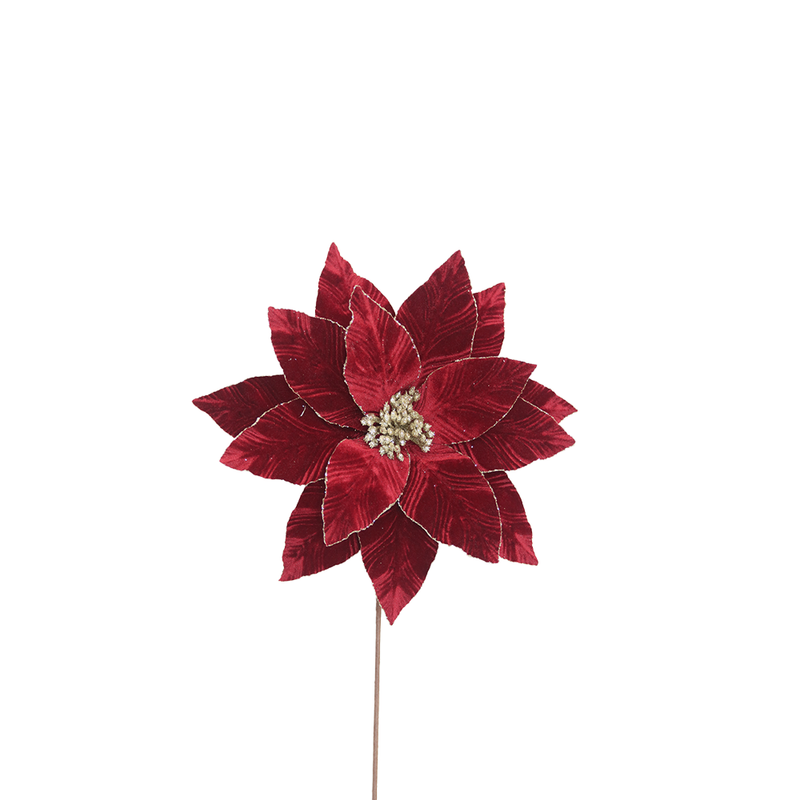 BOWRING - Poinsettia 35x50cm Burgundy Velvet with Glitter Edge Stem