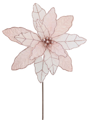 BOWRING - Poinsettia 41x50cm Blush Lurex Stem