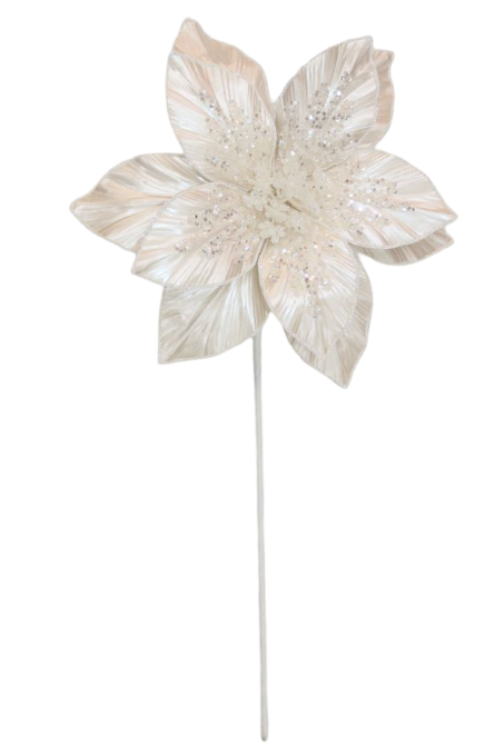 BOWRING - Poinsettia 28x50cm Pearl White Stem