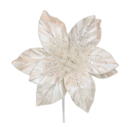 BOWRING - Poinsettia 28x50cm Pearl White Stem