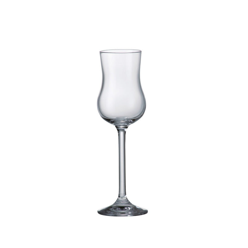 Bohemia - Gastro / Colibri Grappa Stemmed Glass  (Set of 6)