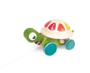 Janod - Zigolos - Pull-Along Turtle