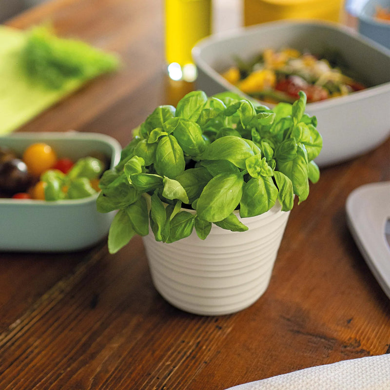 Guzzini - TIERRA - Plant Pot Holder