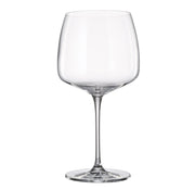 Crystalite Bohemia - Anas Stemmed Gin Tonic 660 ml, Set of 6
