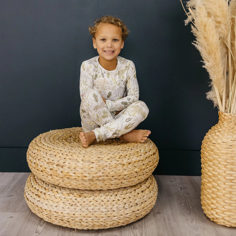 Copper Pearl - Rex 2pc Long Sleeve Pajama Set | 5 years