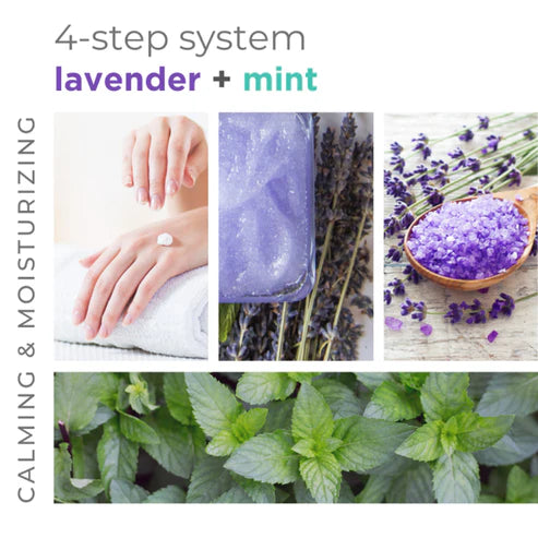 BCL Spa - Massage Cream Lavender + Mint | 64 oz