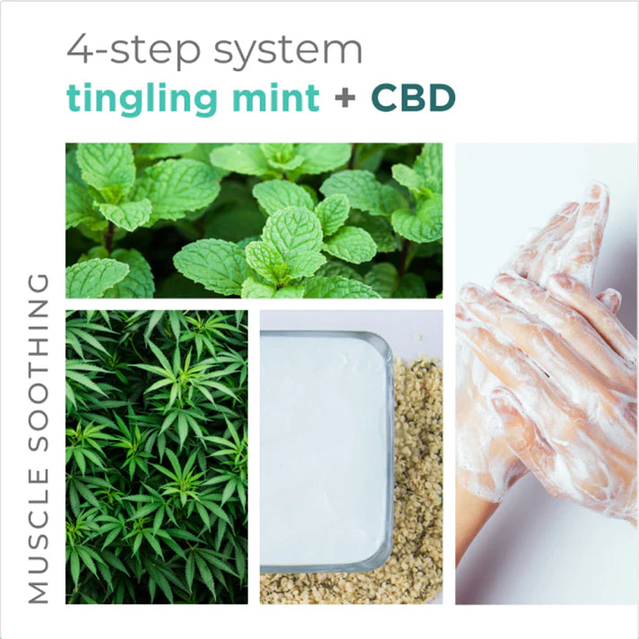 BCL Spa - Sugar Scrub Tingling Mint + CBD