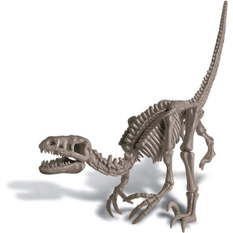 4M - Dig A Dinosaur - Velociraptor - Limolin 