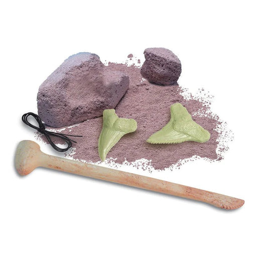 4M - 2025 GLOW SHARK TOOTH FOSSIL Games & Toys