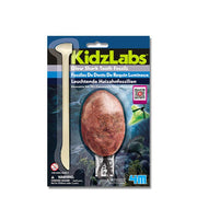 4M - 2025 GLOW SHARK TOOTH FOSSIL Games & Toys