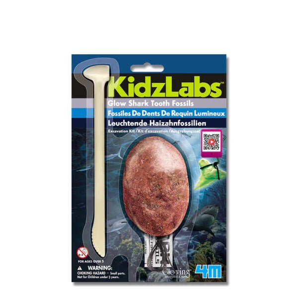 4M - 2025 GLOW SHARK TOOTH FOSSIL Games & Toys