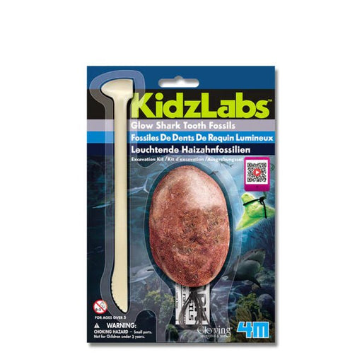 4M - 2025 GLOW SHARK TOOTH FOSSIL Games & Toys