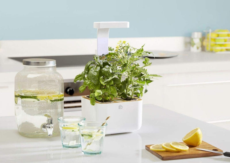 VERITABLE - BOTANEO EYLO Indoor Garden | White (Compatible with VERITABLE Lingot)