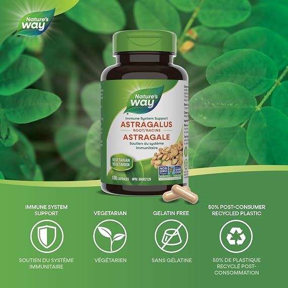 Nature's Way - Astragalus Root