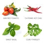 VERITABLE - TSC Lingots Bundle 1 (7351118, 7351101, 7