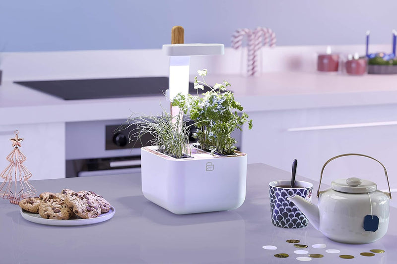 VERITABLE - BOTANEO EYLO Indoor Garden | White (Compatible with VERITABLE Lingot)