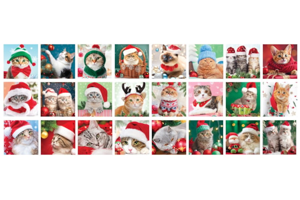 Eurographics - Advent Calendar - Christmas Whiskers | 24 Jigsaw Puzzles