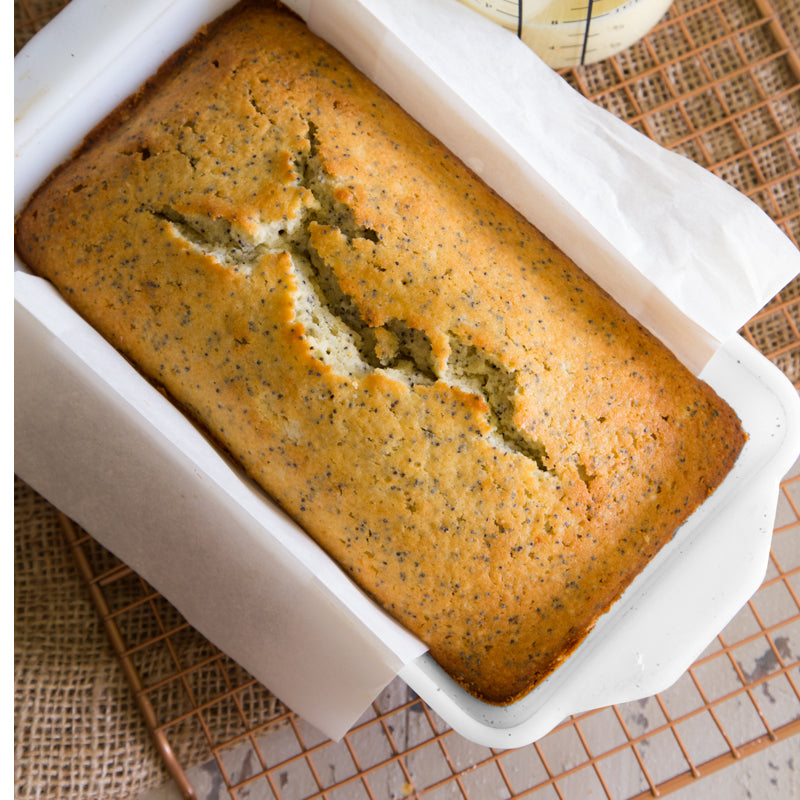 BIA - Loaf Pan