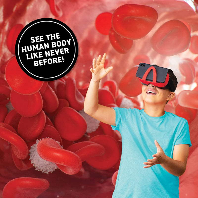 ABACUS - Virtual Reality - HUMAN BODY - Limolin 