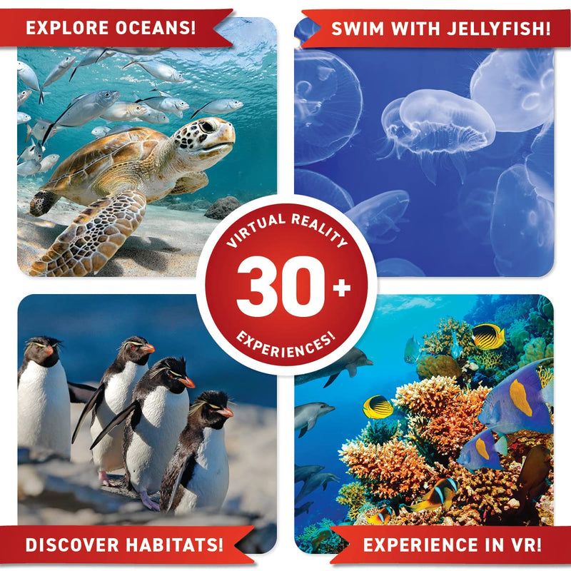 ABACUS - Virtual Reality - OCEANS - Limolin 