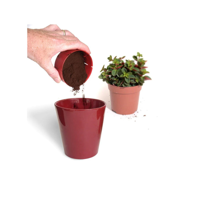Aerolatte - French Press Coffee Grounds Catcher - Limolin 