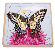 Beleduc - Layer Puzzle - Butterfly - Limolin 
