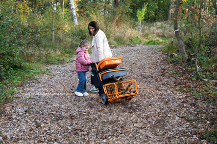 Beleduc - MULTI-FLEX-TROLLEY - Limolin 