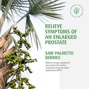 BioForce - AVogel Remedies, PROSTATE 1 - PROSTATE, 30 CAPS - Limolin 