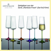 Bohemia Crystal - Rainbow Fresh Champagne Flute (Set of 6) Assorted - Limolin 